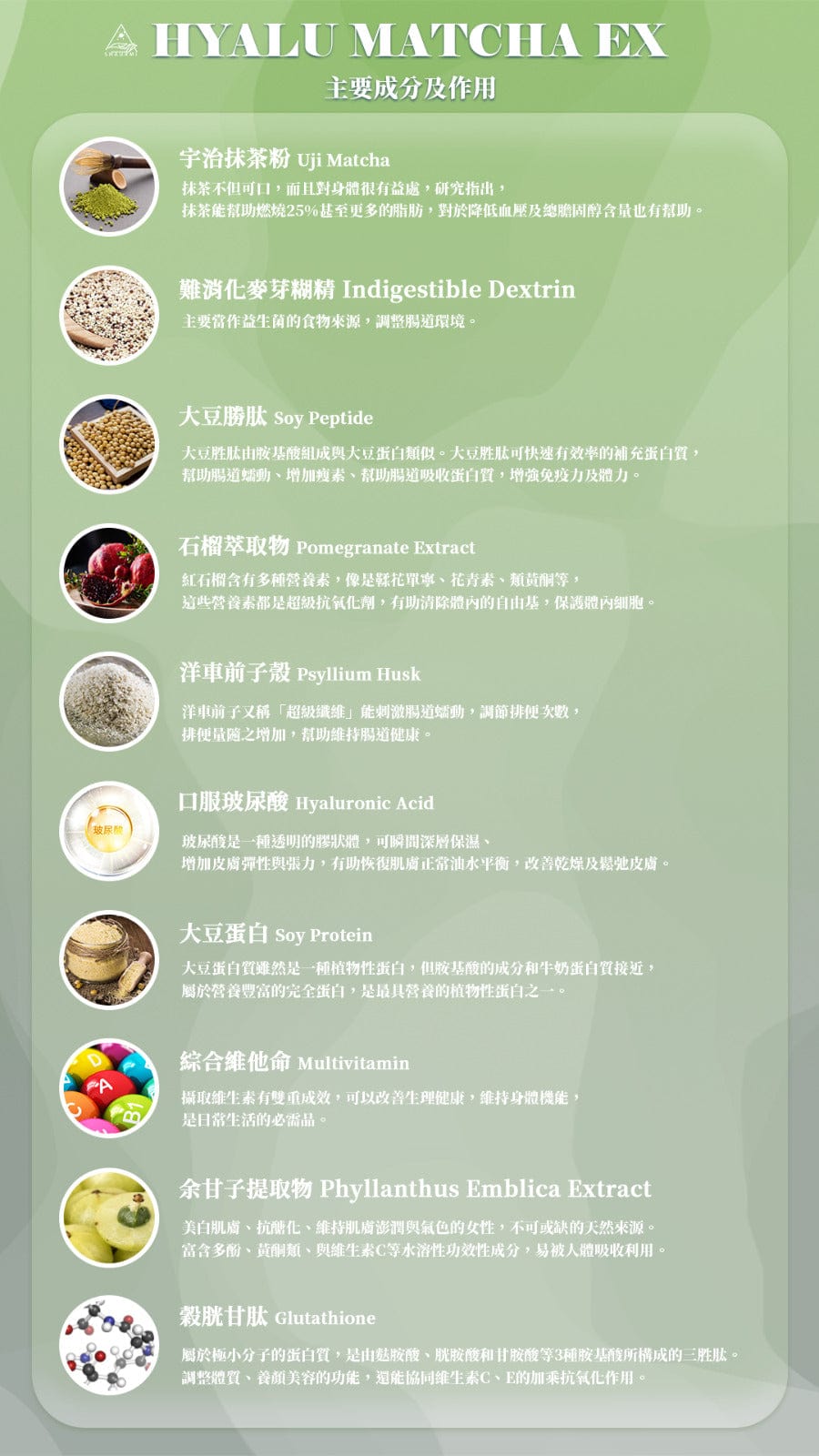 升級版玻尿酸宇治抹茶代餐 HYALU MATCHA EX SINGLE PACK (14 SACHETS)